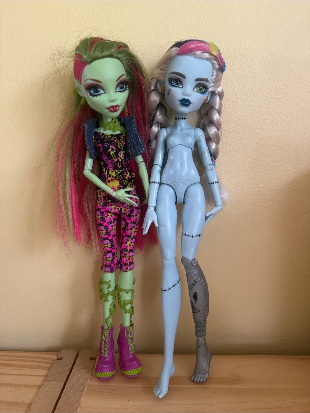 Monster high pair